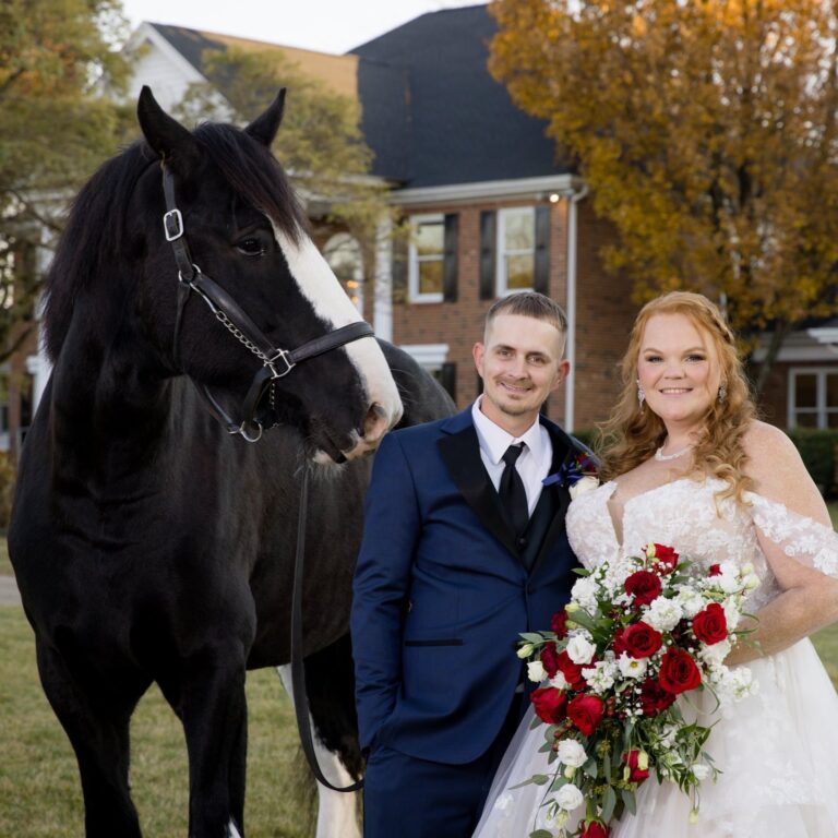 Bride and groom posing with a black shire horse in front of the mansion in the fall